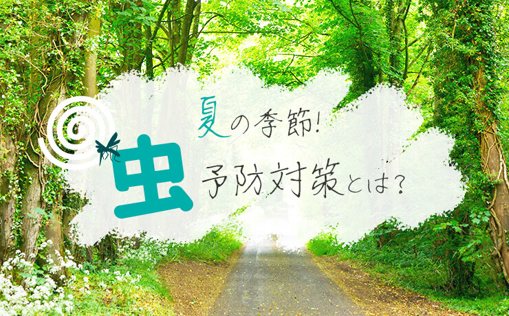 夏の季節！虫予防対策とは？