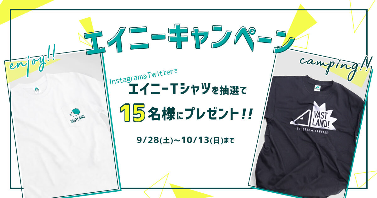 エイニーキャンペーン