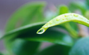 キャンプの予定なのに雨の予報…事前の準備や雨対策をご紹介！
